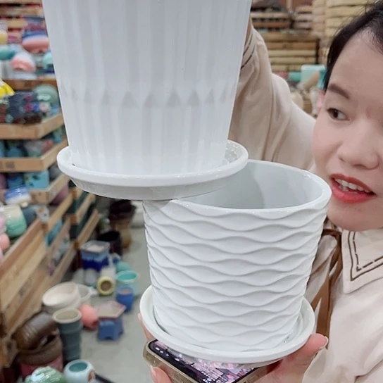 花盆凑单福利满10元发货！