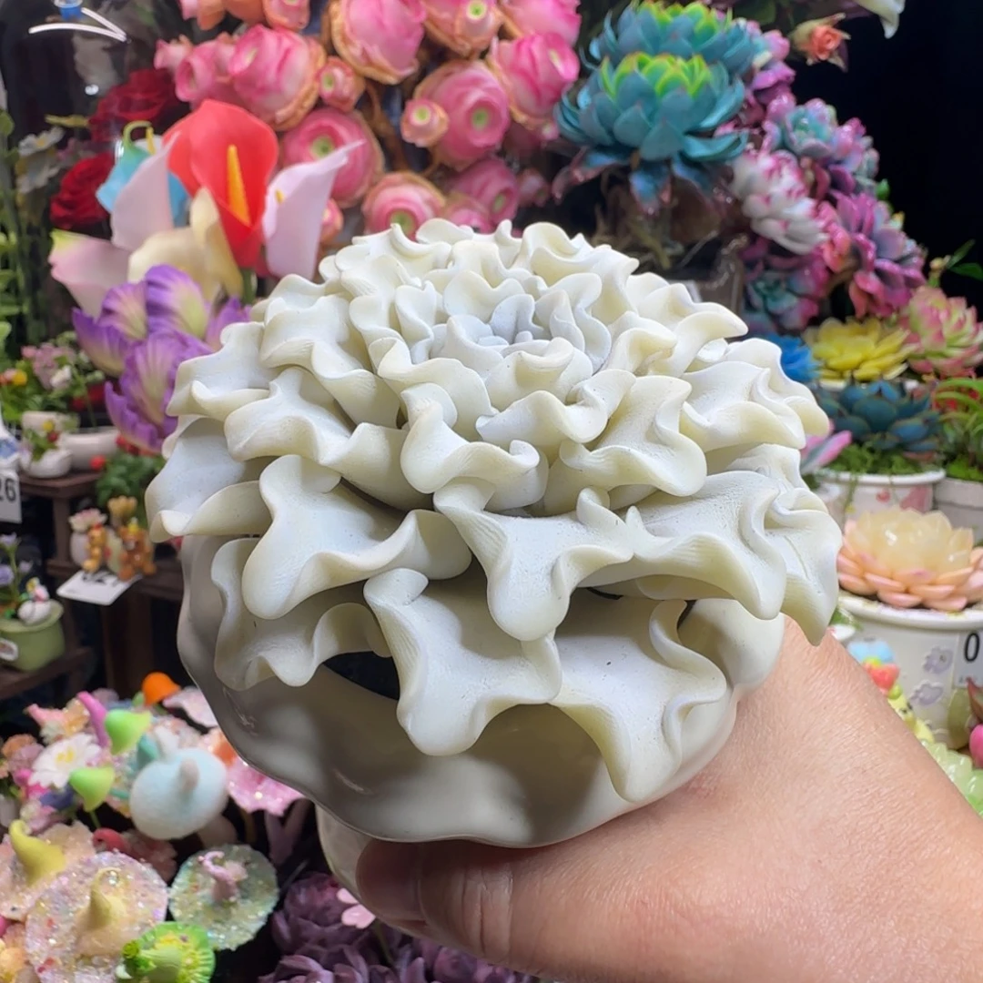 手工制作芭蕾舞者单头不带盆