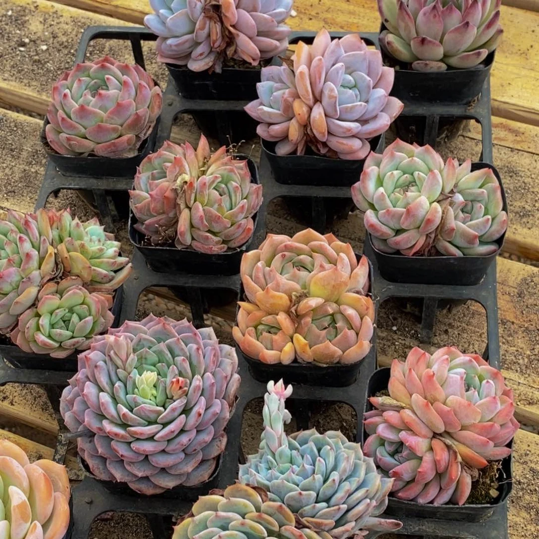 874的人在一起的时候就