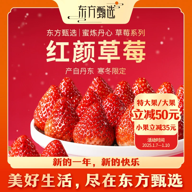 东方甄选自营红颜草莓（1月17日前发货）上新丹东新鲜坏果包赔900g