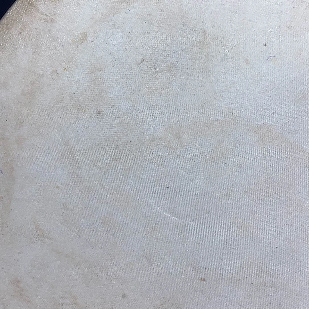 无花朵八*秀明园艺秀明园艺