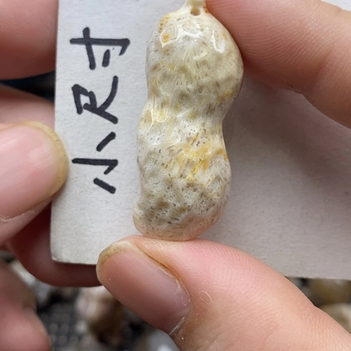 颈饰未镶嵌硅化珊瑚（珊瑚玉）