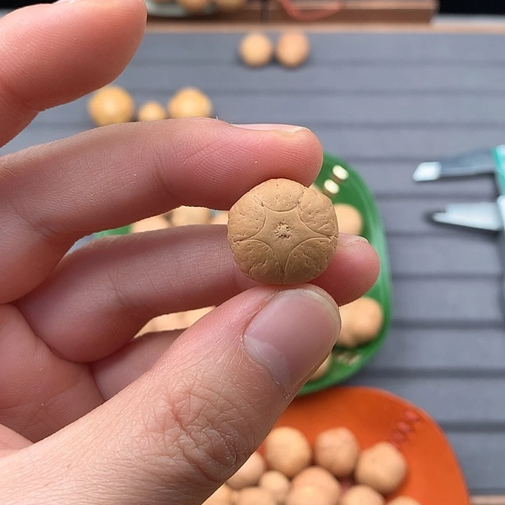 吊坠凤眼菩提18+五星，非质量问题开孔不退