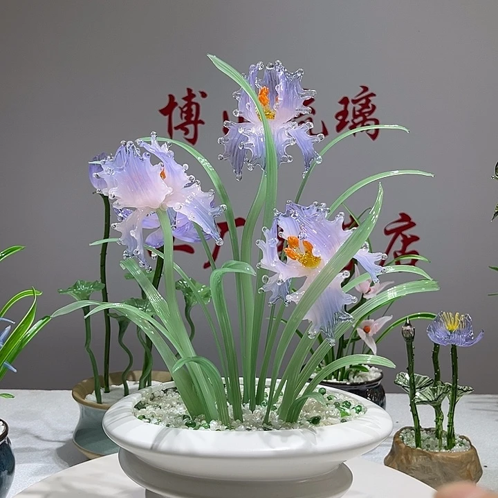 琉璃琉璃鸢尾花1111