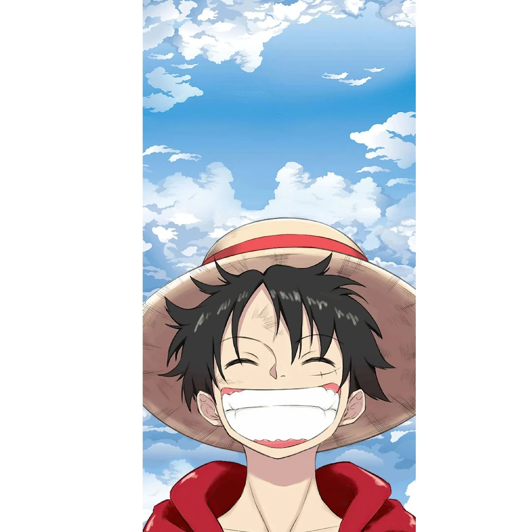 《海贼笑脸路飞竖版》儿童客厅卧室现代装饰画40-80-PVC-V025