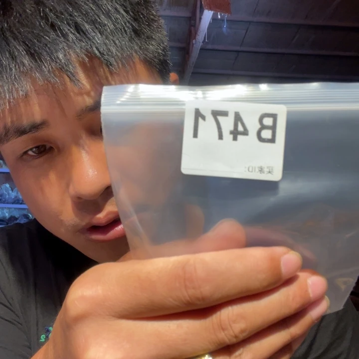大叶紫檀（黑酸枝木类）471