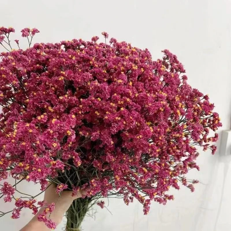 水晶草鲜花花束云南鲜花特产可做干花基地直发真花永久花苞装饰