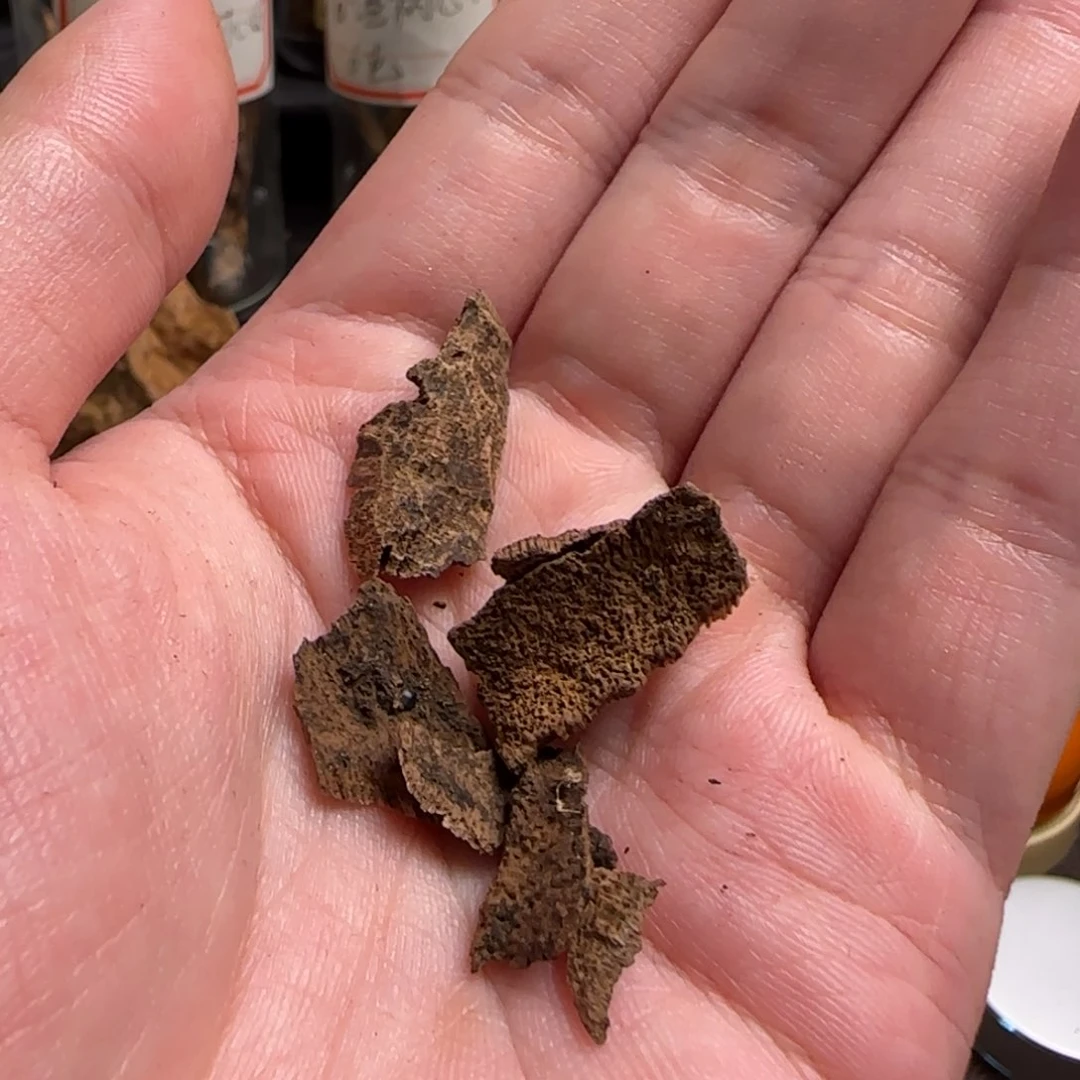 海南沉水老料沉香1克多样发一