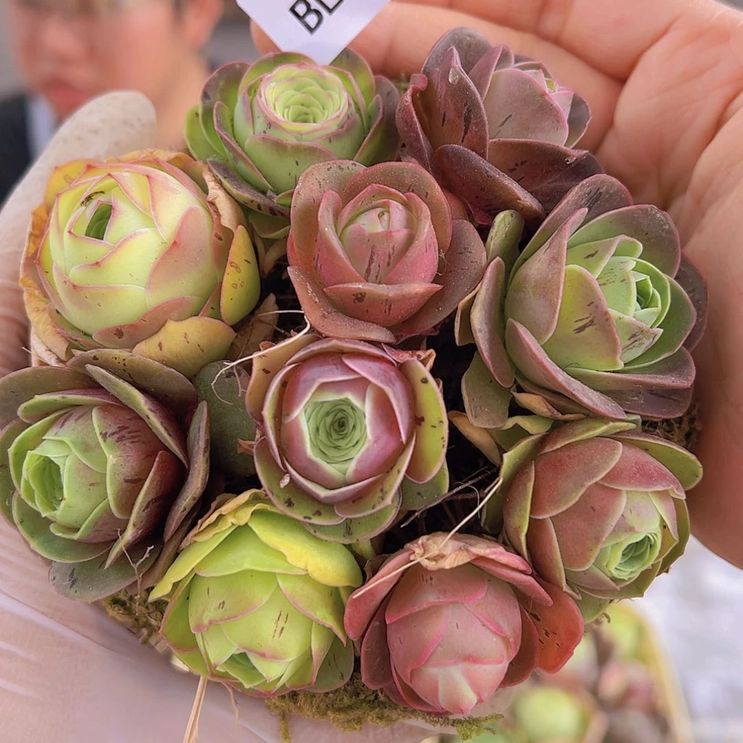 bl011 玫瑰混花篮