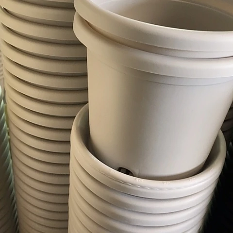 树脂四季3号灰白带托10套