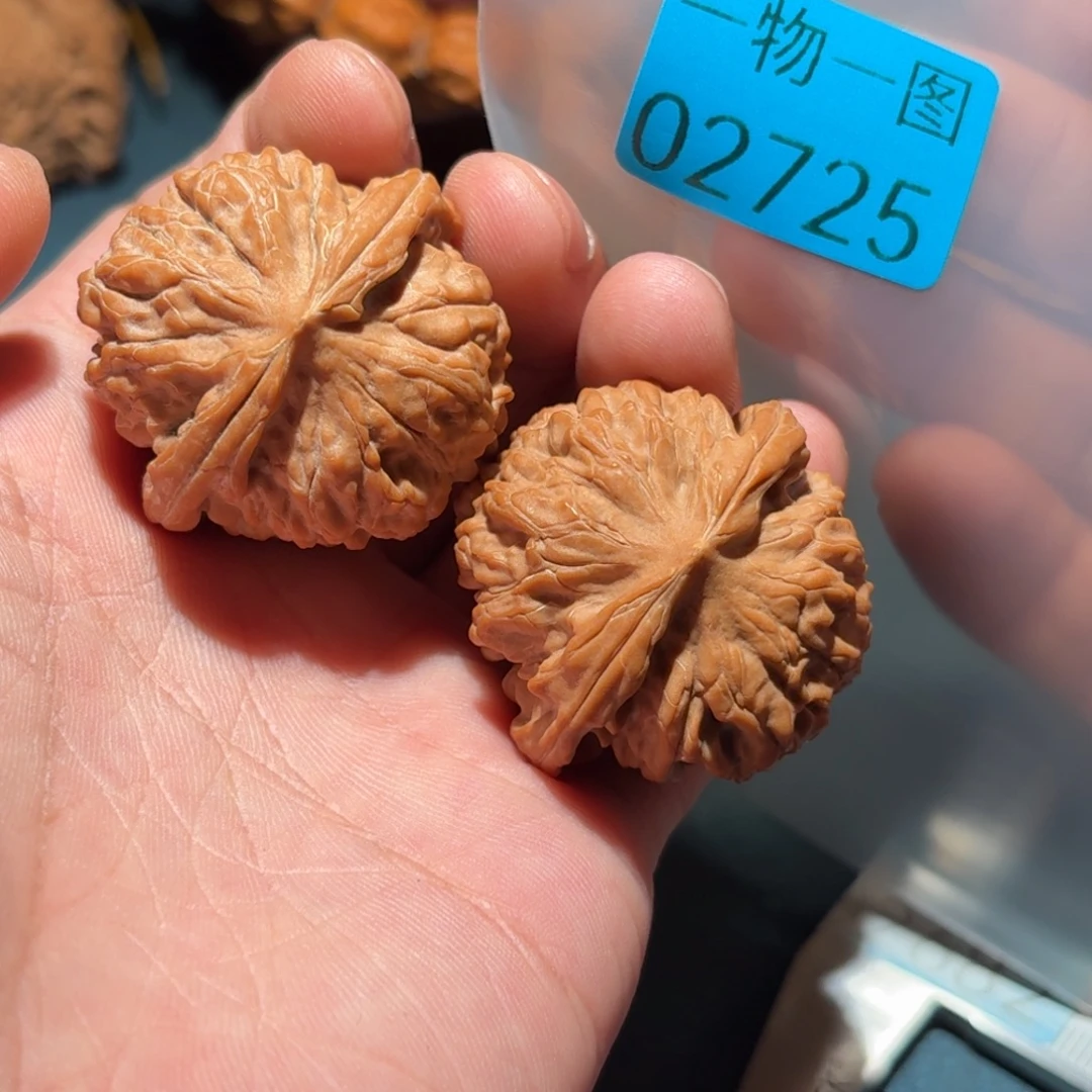 吊坠文玩核桃红珊瑚