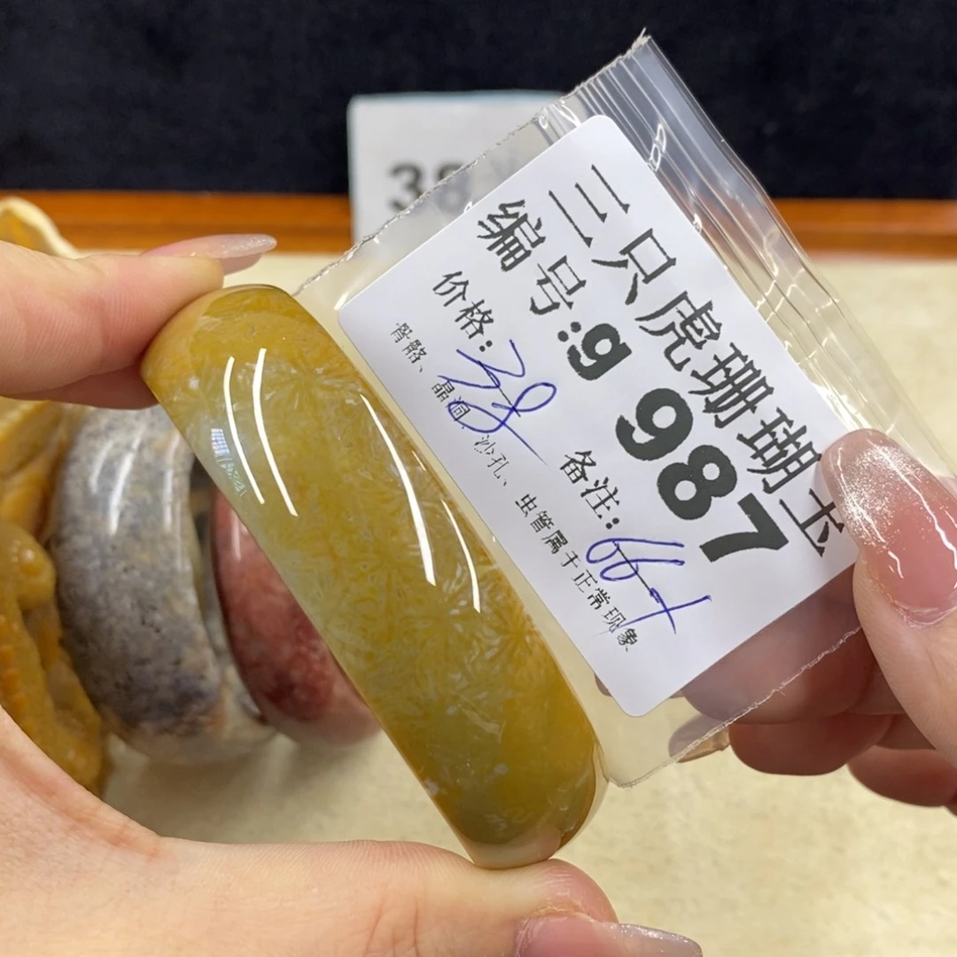 硅化珊瑚（珊瑚玉）未镶嵌11*灯