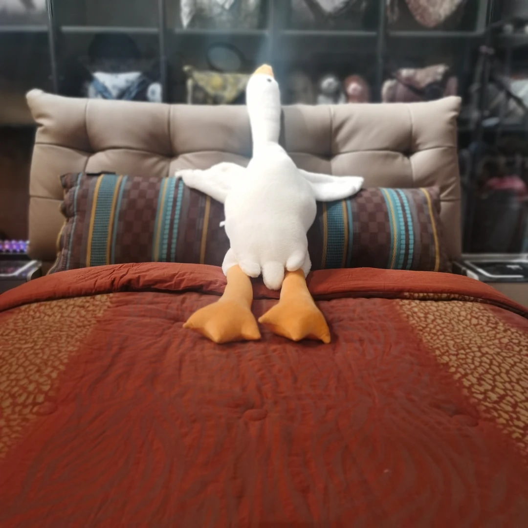 韩版大鹅可爱抱枕