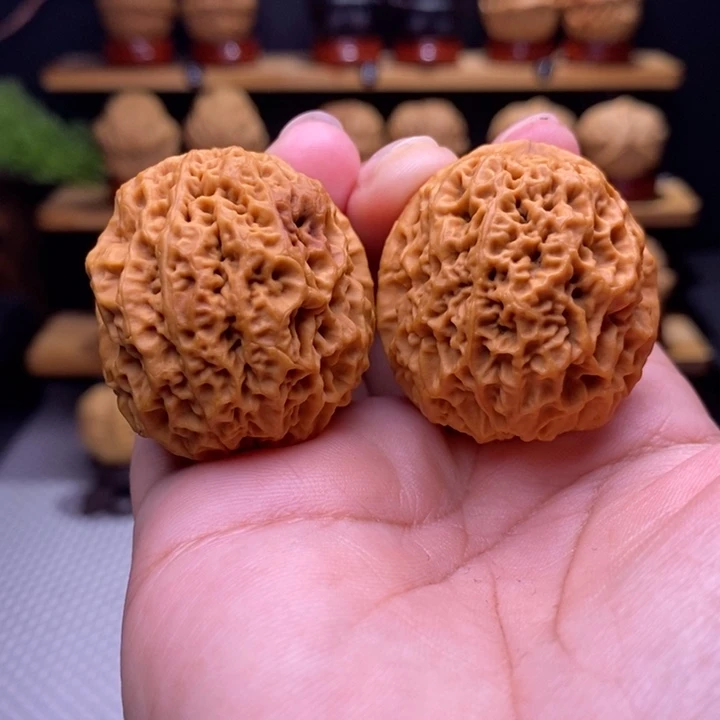 木质类云铁七星绣球22号