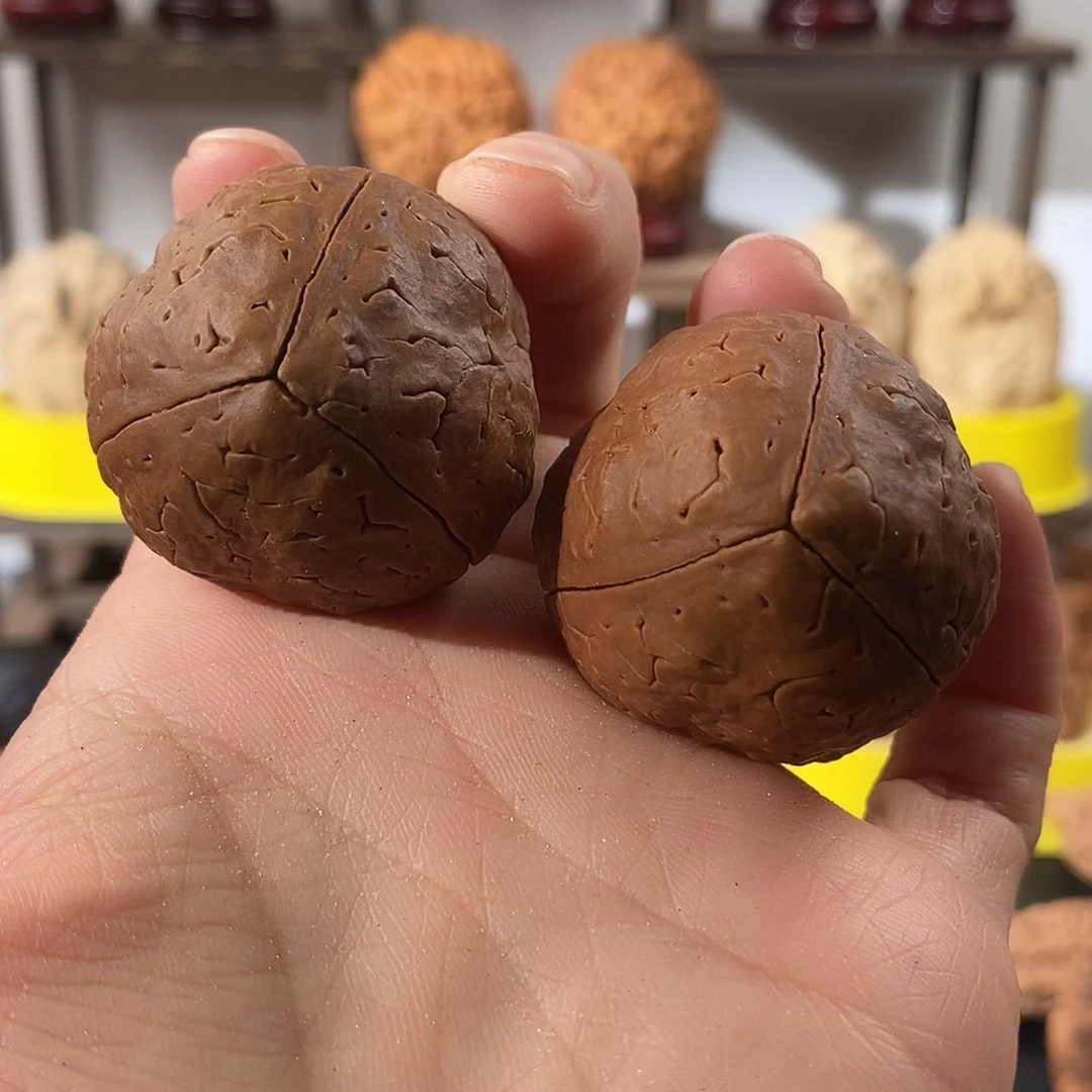 吊坠文玩核桃光头强36微色