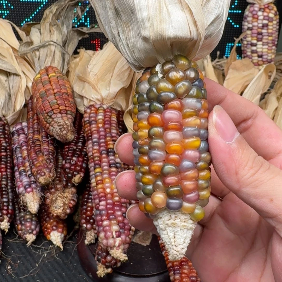 柏香籽/百香籽吊坠?***