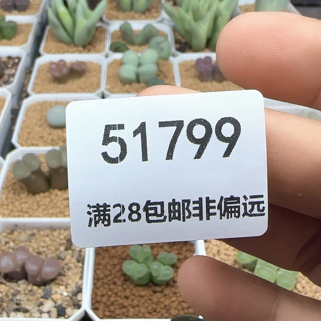 d***o哈哈哈哈哈哈哈哈51799