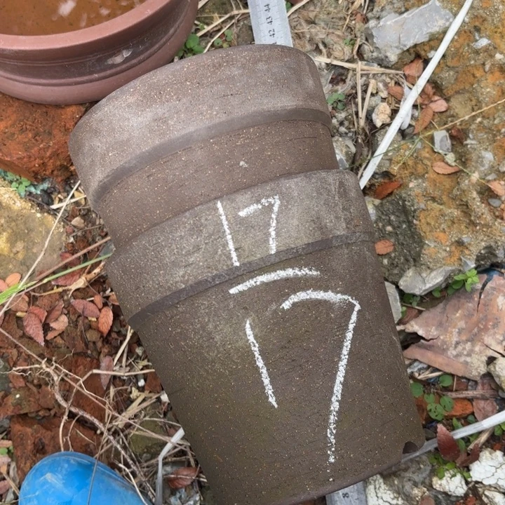 紫砂茶壶紫砂的花