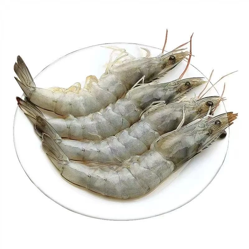 【没用今天拍明天到】拍三斤送一斤海水大虾单只15cm左右四斤/盒含薄碎冰锁鲜 顺丰冷链发货