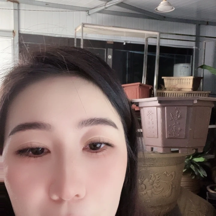 八角40口径花盆两个