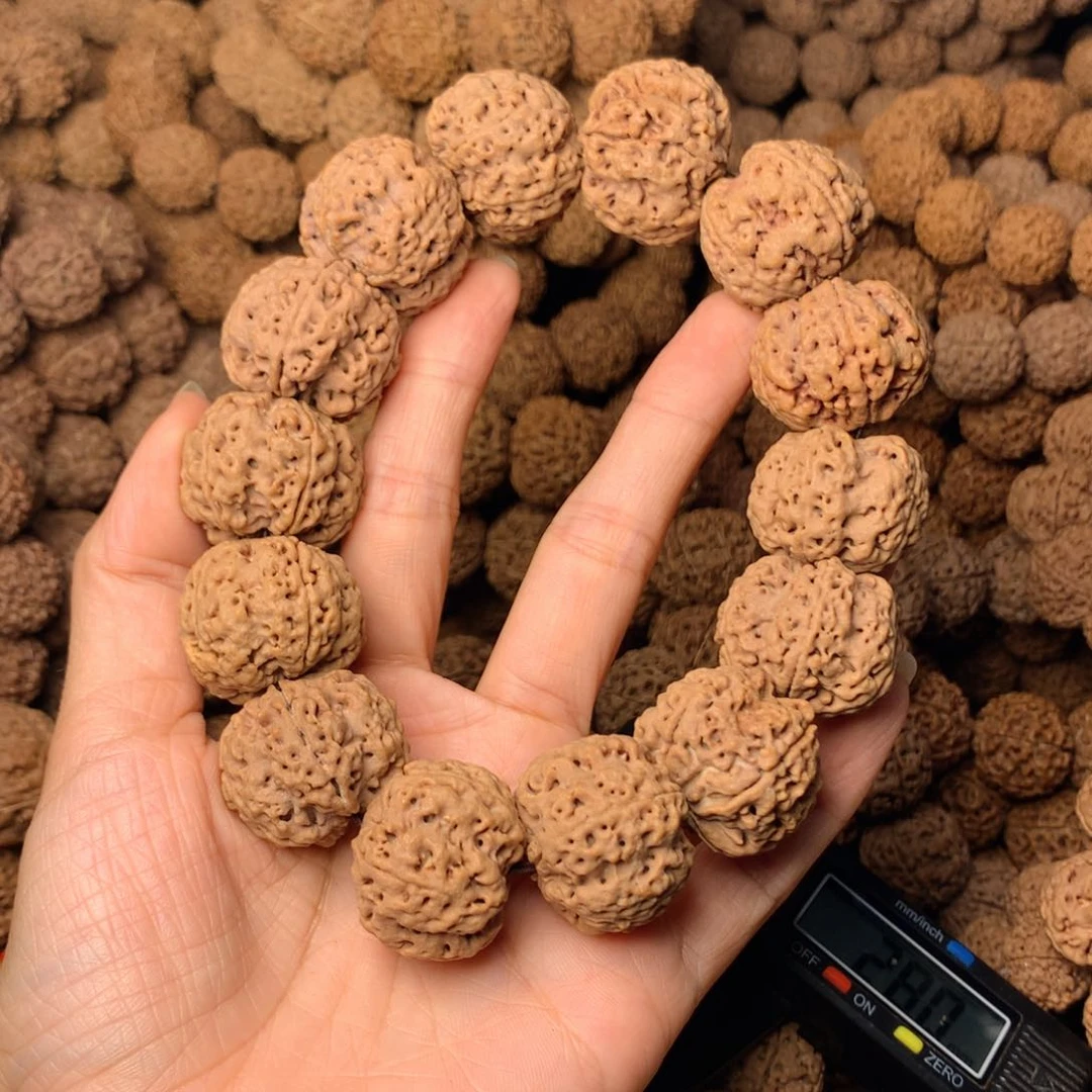 木5瓣蜂王卡26尺寸，89号