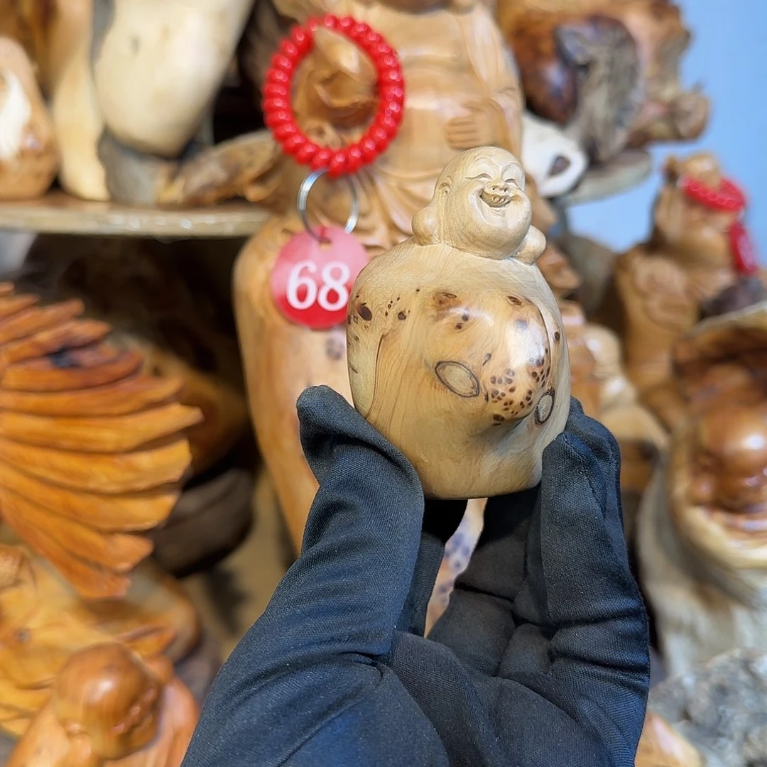 柏木（崖柏）666666666