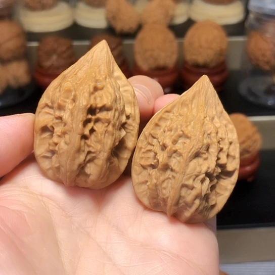 花****花特价：野生鸭嘴兽（色差）