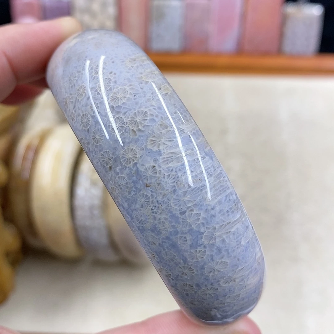 硅化珊瑚（珊瑚玉）有瑕 61未镶嵌