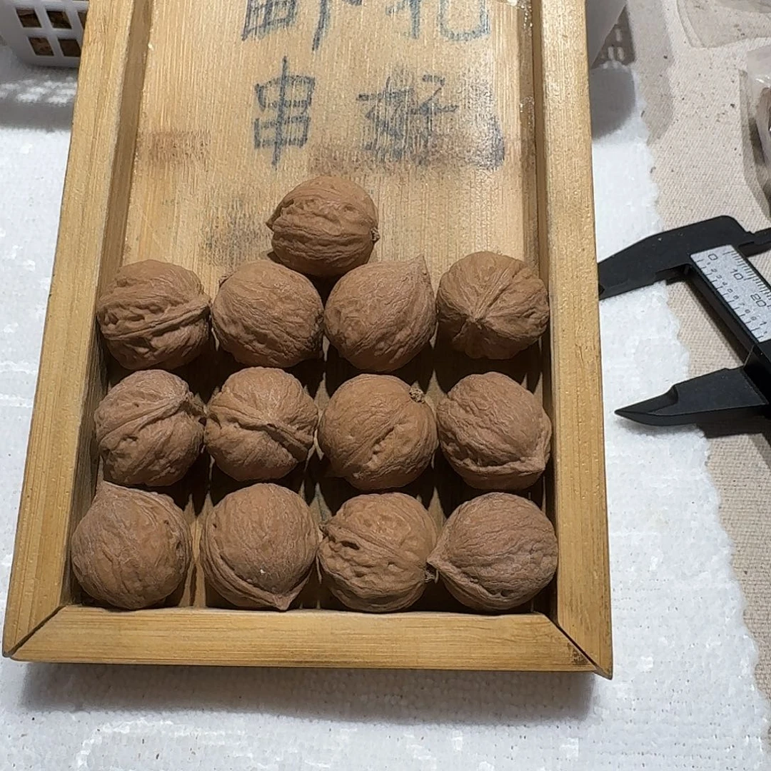 核桃手串/手链55号边21肚23高23