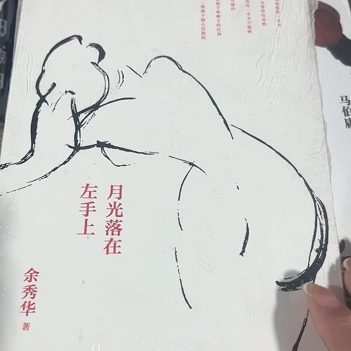月光落在左手上全新
