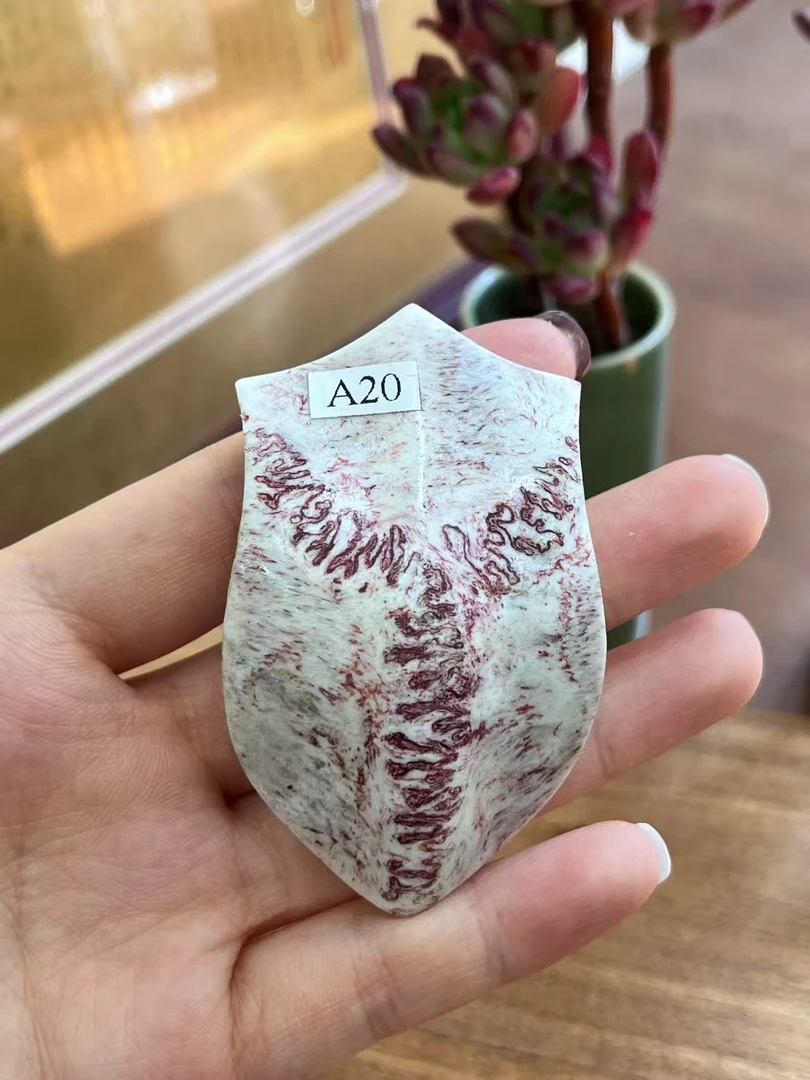 20号三界牌手把件养殖梅花鹿