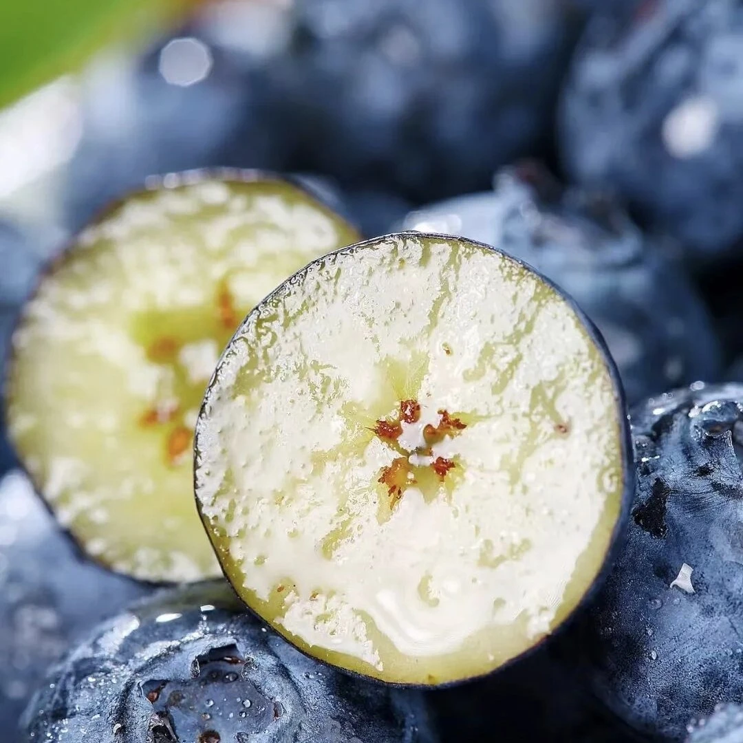 云南新鲜蓝莓150g(18mm)云南省