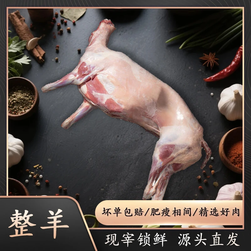 青海羊肉新鲜 整羊22斤整扇%腿排产地直发