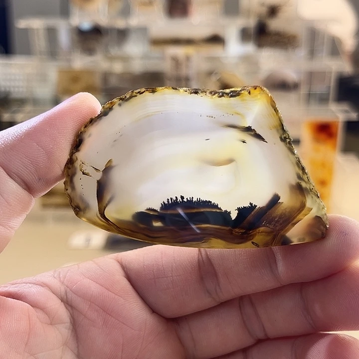 未镶嵌吊坠(不含链)玛瑙/玉髓