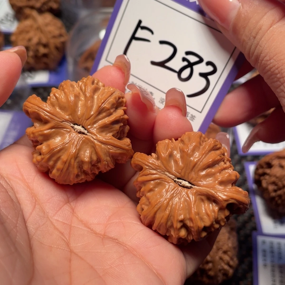 把件桃核283号白狮子39