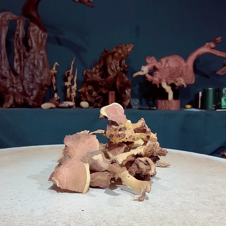 黑果木瑞**艺851金丝红木羊蹄甲半成品