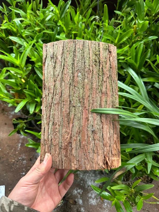可种植各种寄生植物的木板石斛兰蝴蝶兰透气防烂根挂板装饰美观