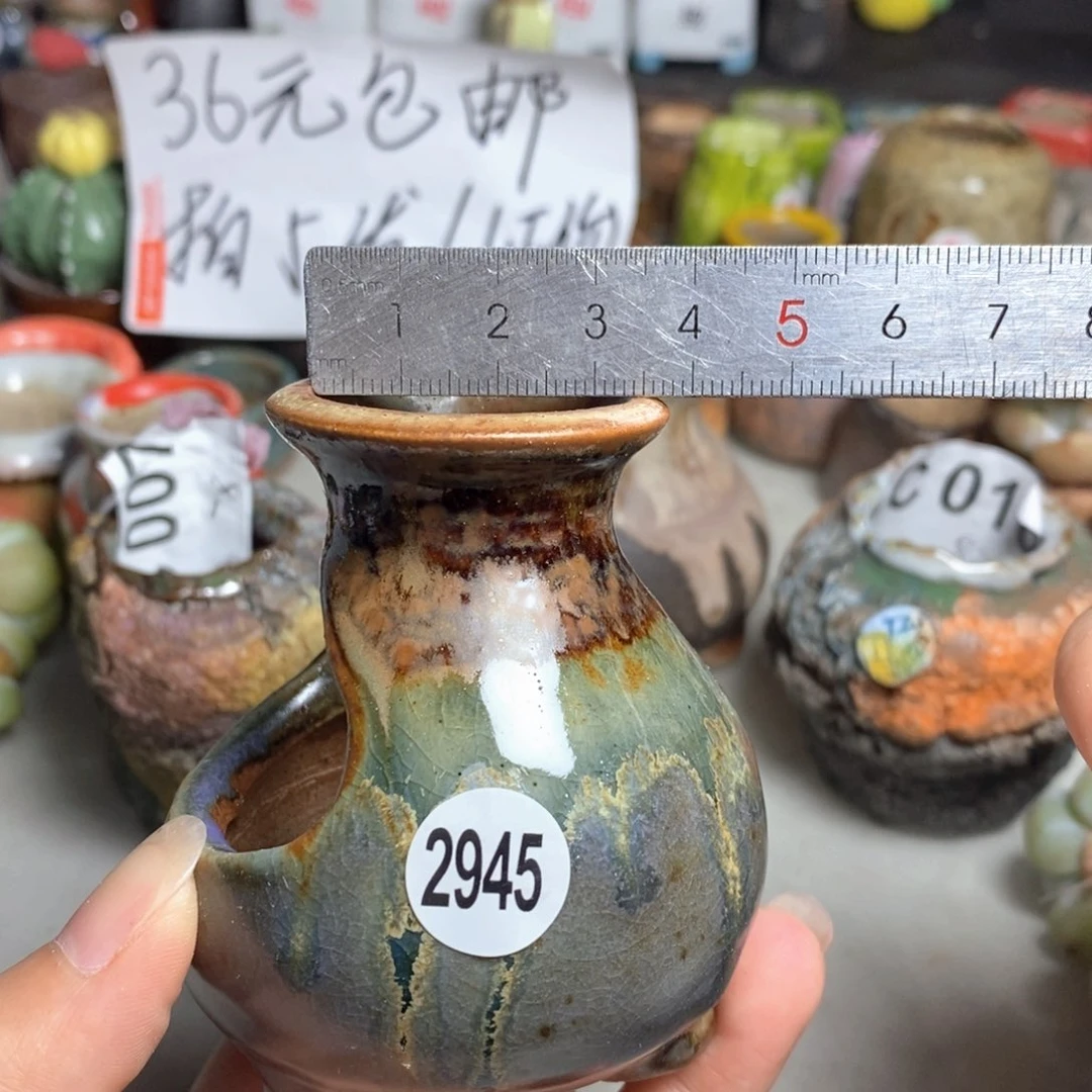 拍5送一个小礼物