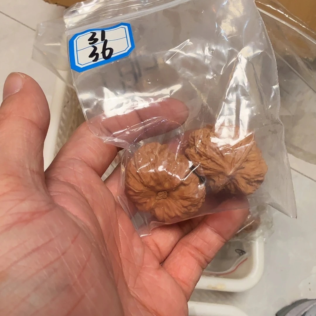 吊坠金刚菩提蒙头沟元宝体验款