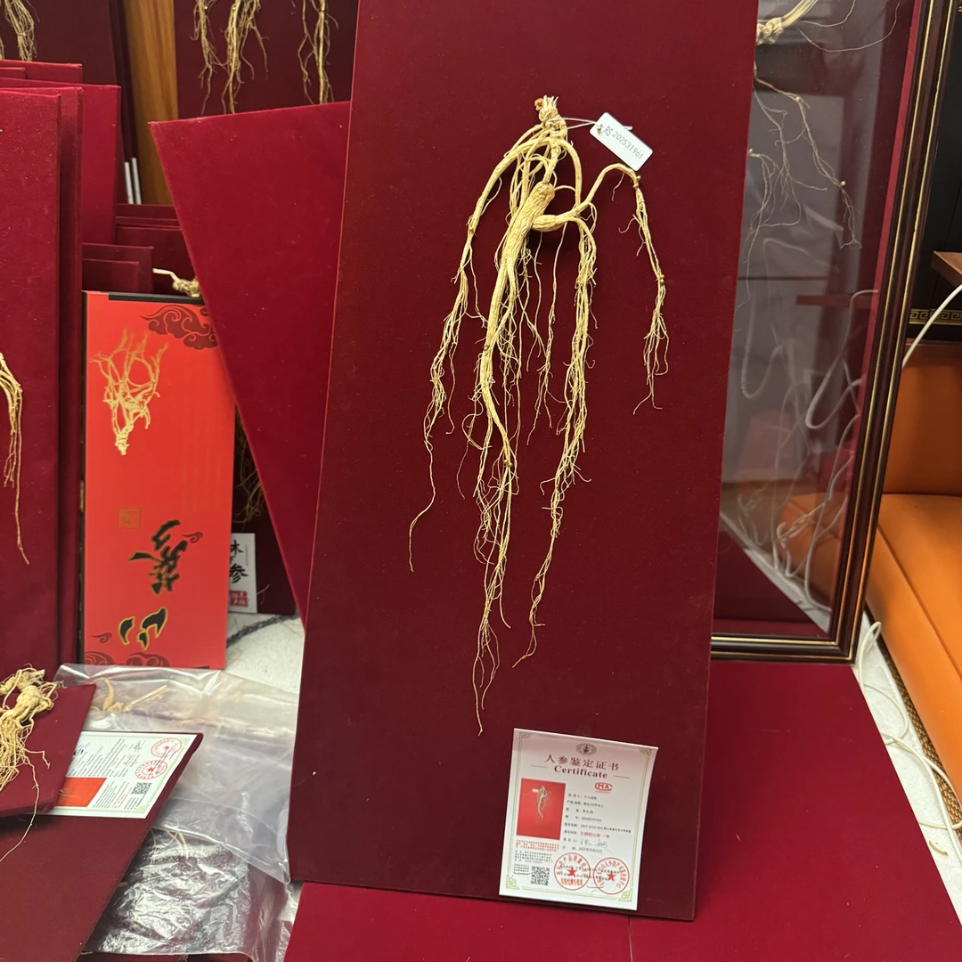 长白山人参 ～省检一等煲汤泡酒