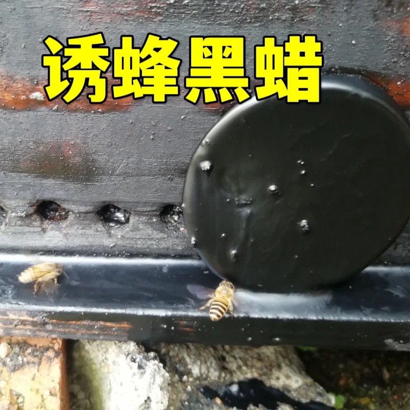 陈氏黑蜡诱蜂蜡龟苓膏招蜂引蜂诱蜂水神奇工具蜜蜂王信息素野外