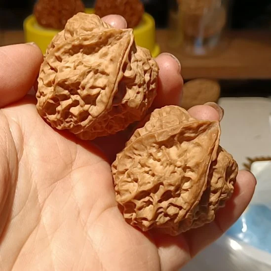 同***学把件文玩核桃666666666