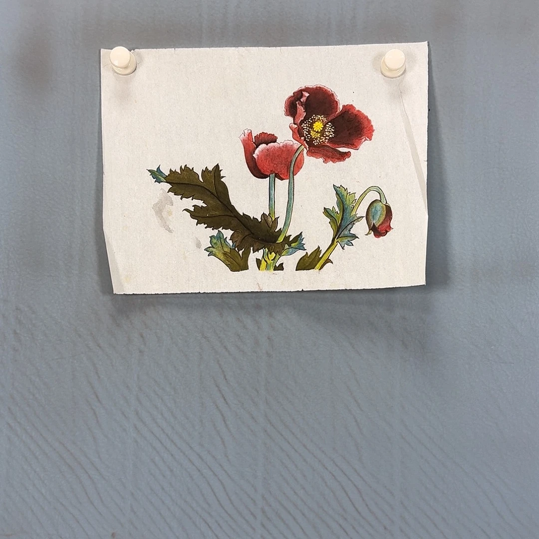 国画249 牡丹仙子也可以