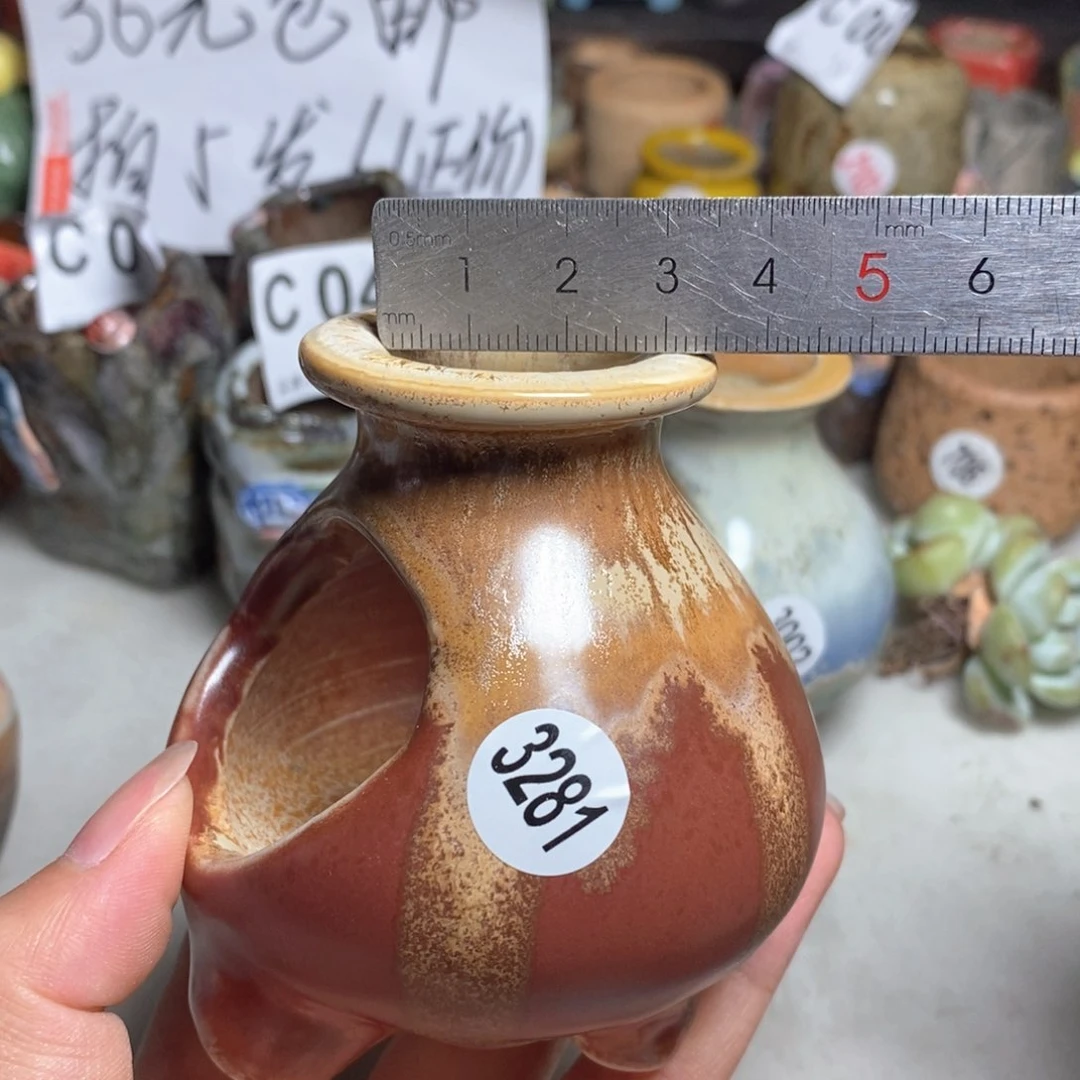 拍5送一个小礼物