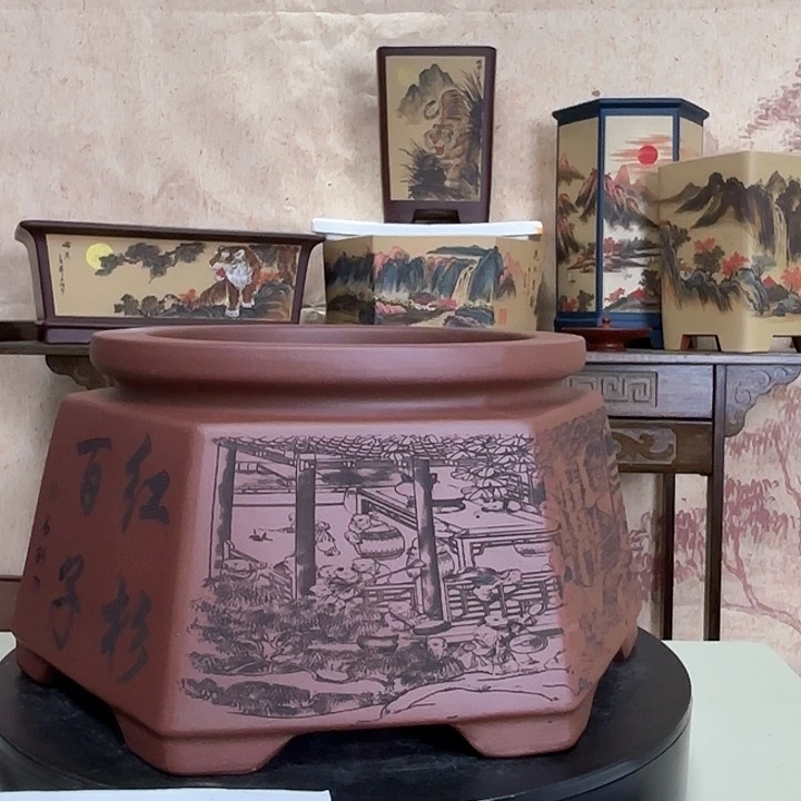 紫砂花盆百子红杉