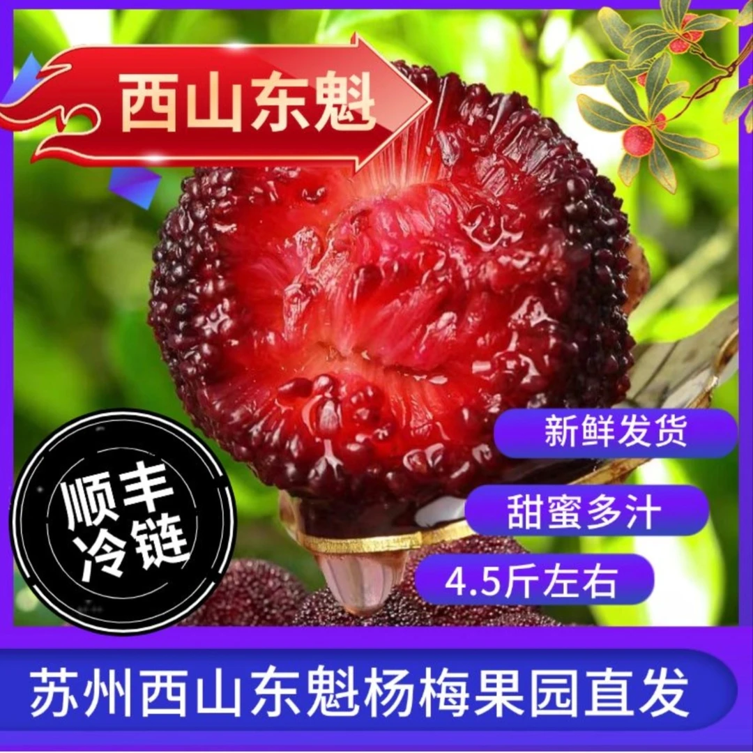 苏州西山[东魁A杨梅100颗装]当季新鲜 顺丰果园直发送礼首选