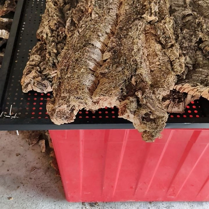 一物一拍一物一发