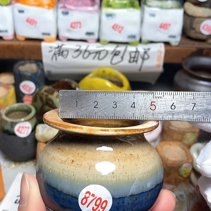 红陶拍5送一个小