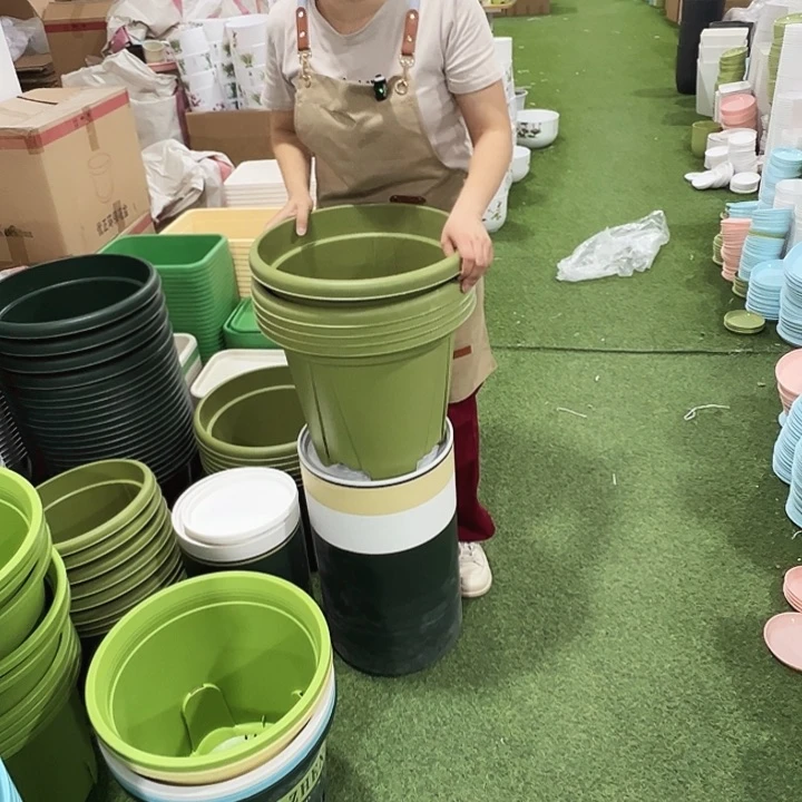 青山盆口40高35果绿色无托5只