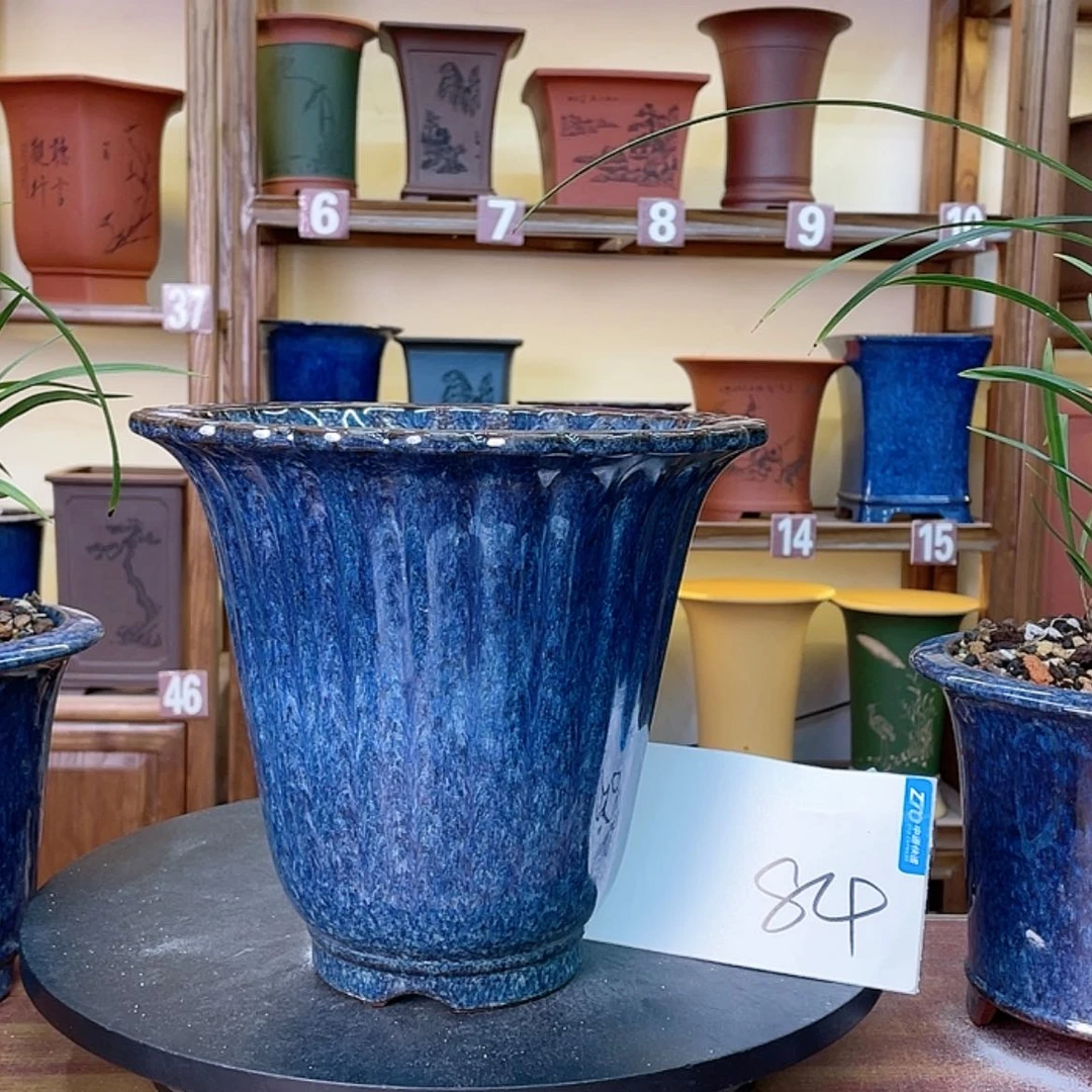 【闪购商品】紫砂花盆z*g兰花452555555655558545